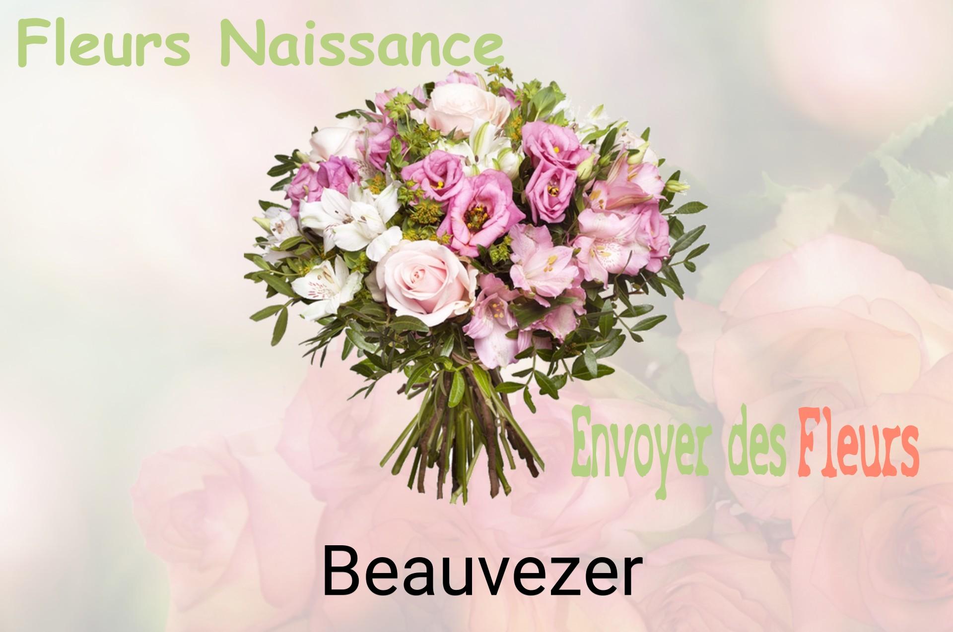Bouquet de fleurs de naissance livré à Beauvezer